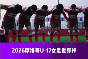 蜘蛛直播-蜘蛛直播nba高清无插件_蜘蛛直播nba免费高清现场转播