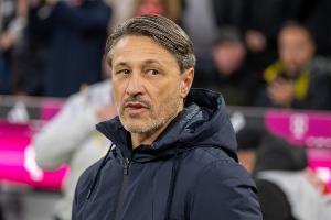 蜘蛛直播-蜘蛛直播nba高清无插件_蜘蛛直播nba免费高清现场转播
